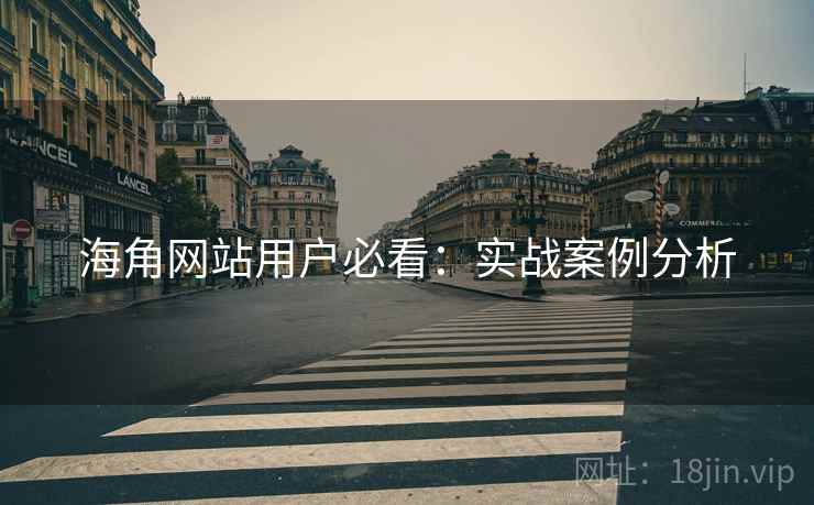 海角网站用户必看：实战案例分析