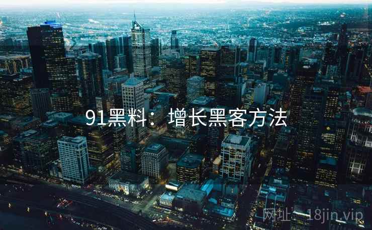 91黑料：增长黑客方法