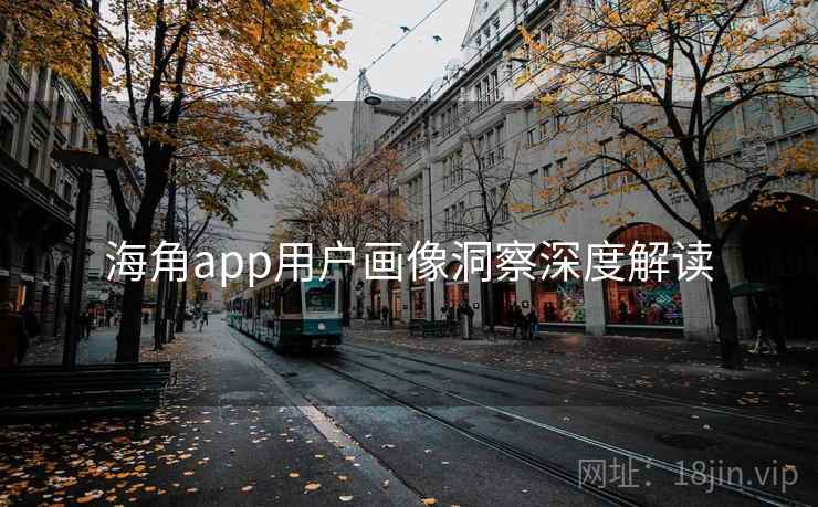 海角app用户画像洞察深度解读
