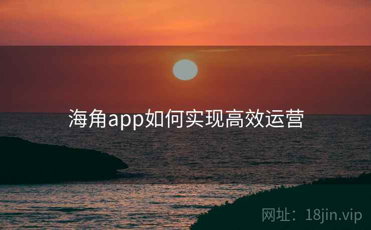海角app如何实现高效运营
