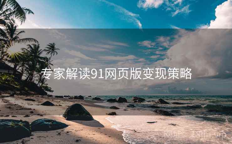 专家解读91网页版变现策略