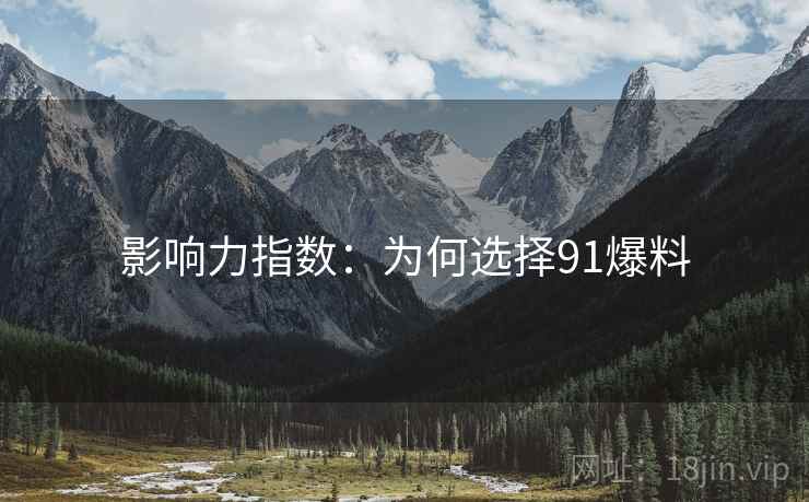影响力指数：为何选择91爆料