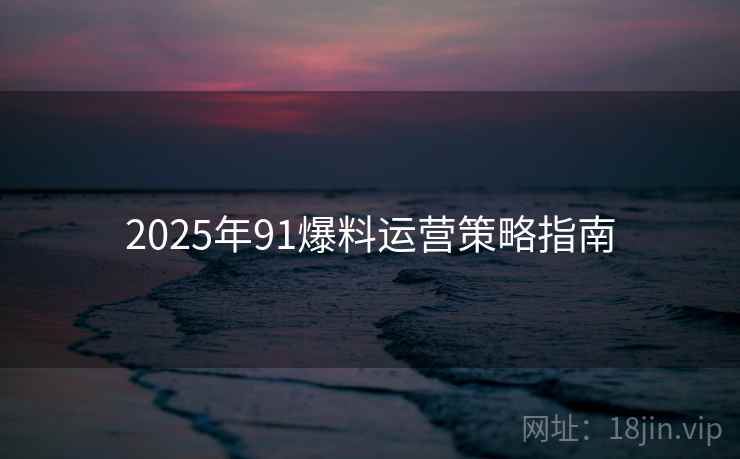 2025年91爆料运营策略指南