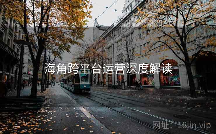 海角跨平台运营深度解读